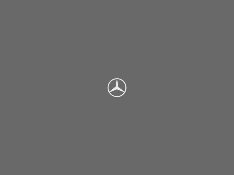 A Mercedes-AMG EQS 53 4MATIC+.